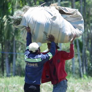 Lagu Gayo Ine (Minus One)