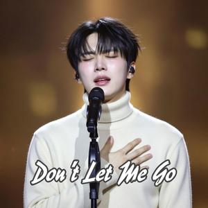 《我是个傻瓜》 I’m Just a Fool