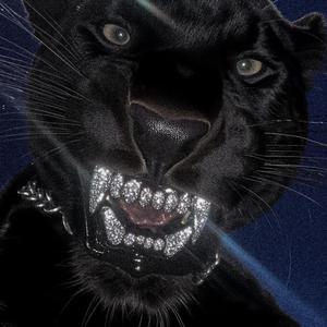 VEM DE SAINHA DE DECOTE