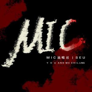 东南大学（SEU）MIC 2021 cypher