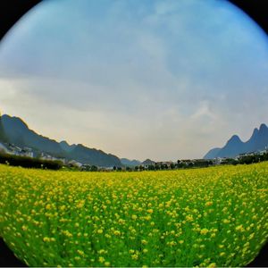 【FREE】sth. G min 137