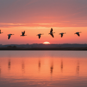 褶皱时空的漂流瓶
