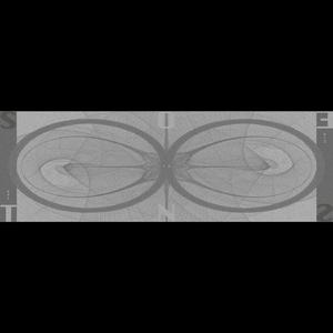 3/1 In un Cerchio Infinito [per Edward Leedskalnin]