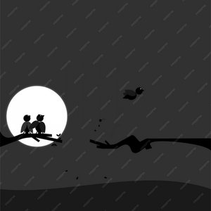 चाँदनी रातों का सफर