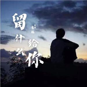 留什么给你 (DJ京仔版)