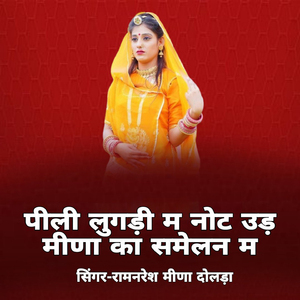 Pili Lugadi M Not Ud Meena Ka Sammelan M