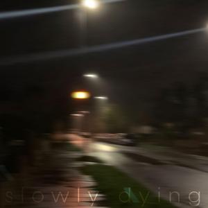 is it really worth it?