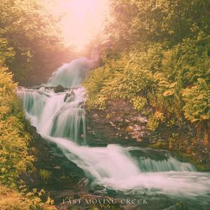 Fast Moving Creek