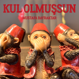 Kul Olmuşsun