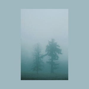 Tomyimaginarygirlfriendthatimayormaynotmeetinthenext3years