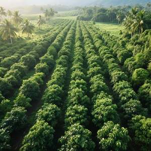 Rumah Mengembara Gema