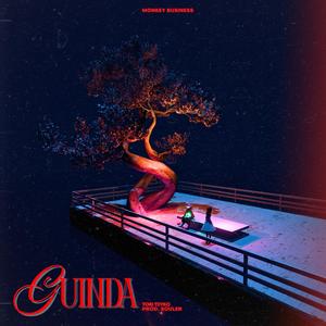 guinDa