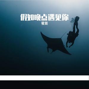 假如晚点遇见你(Live)