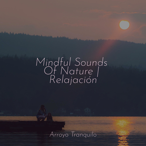 Caricia del Atardecer