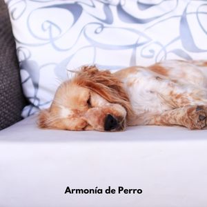 Ladrido de Plenitud de Canción de Cuna