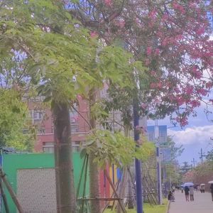 给我很爱很爱的人(demo)