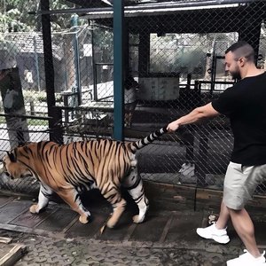 Boka Dance（3D环绕版）（萨佬 remix）