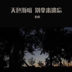 天色渐暗，别拿来遗忘（伴奏）