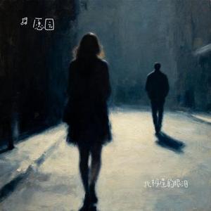 北极星的眼泪 (Cover 张栋梁)