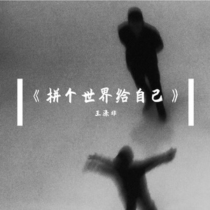 拼个世界给自己(COVER姜云升)