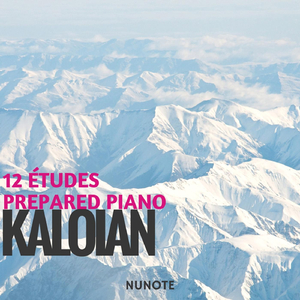 12 Études for Prepared Piano: I. Alla Breve (Prepared Pizz Piano)