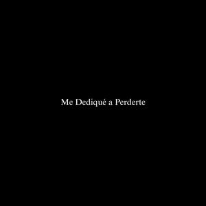 Me Dediqué a Perderte