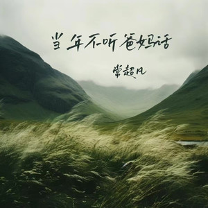 当年不听爸妈话