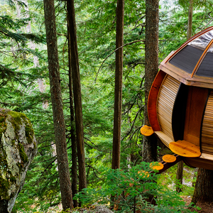 你还欠我一个拥抱