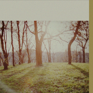 A place in the leaves