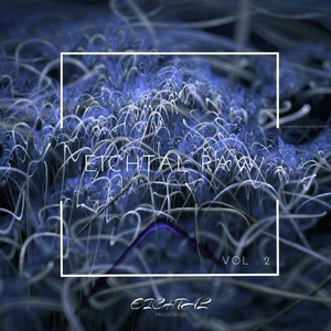 Fritters Fly (Original Mix)