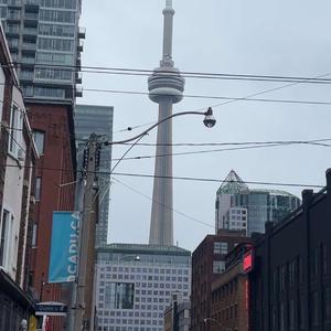 see your lies (feat. po pana)