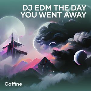 Dj Edm the Day You Went Away (Live)
