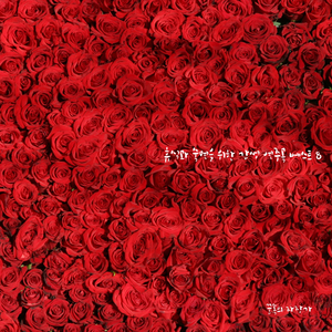 잠 못 드는 밤에