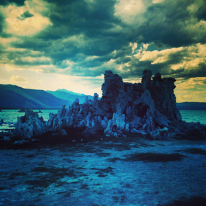 Cattus Island