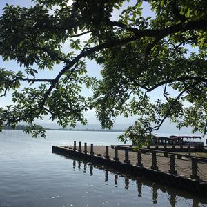 Here We Are Again【喜剧之王】钢琴插曲