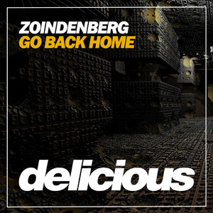 Go Back Home (Original Mix)