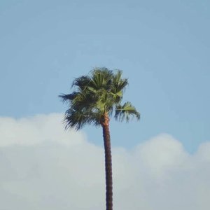 如果冬天需要仪式，我的仪式是享受孤独。