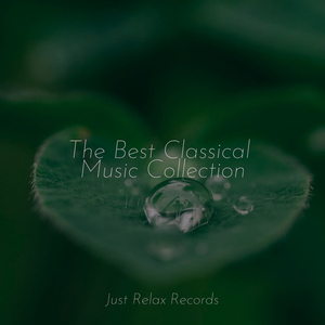 Lonely's Gilded Glow