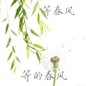 在等春风言
