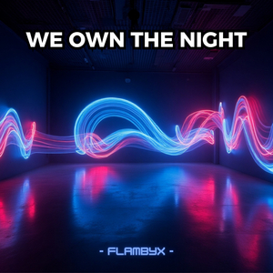 We Own the Night