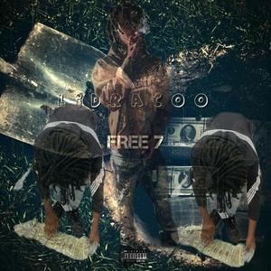 Free 7