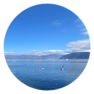 我要唱那最美的歌