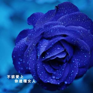 我是不是你要爱的人