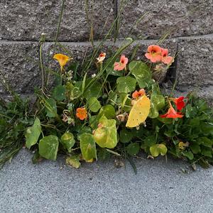 into, out of, around