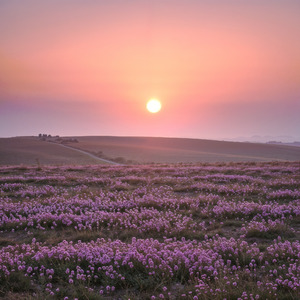 早起きは三文の徳