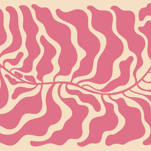 French Pink