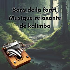 Accrocher la batterie