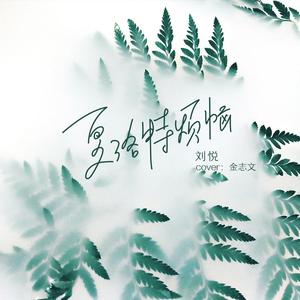 夏洛特烦恼（抖音女声版）