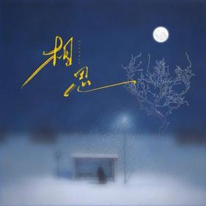 相思  (红豆生南国) (Cover 大头针)