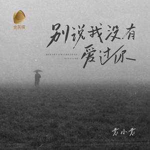 别说我没有爱过你 (伴奏)